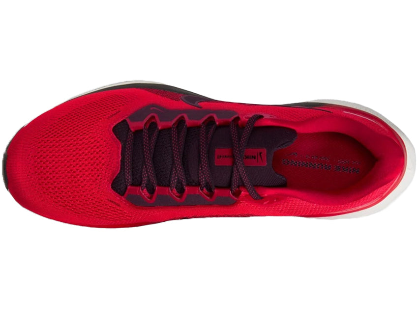 NIKE 나이키 맨즈 슈즈 AIR ZOOM PEGASUS 41 에어 줌 페가수스 41 FD2722-602