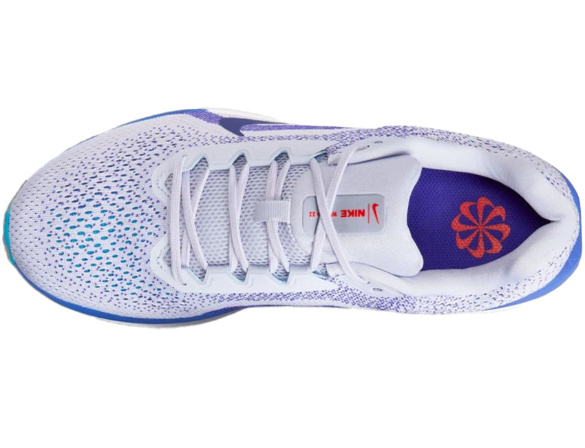 NIKE ナイキ メンズ シューズ AIR WINFLO 11 エア ウィンフロー 11 FJ9509-006