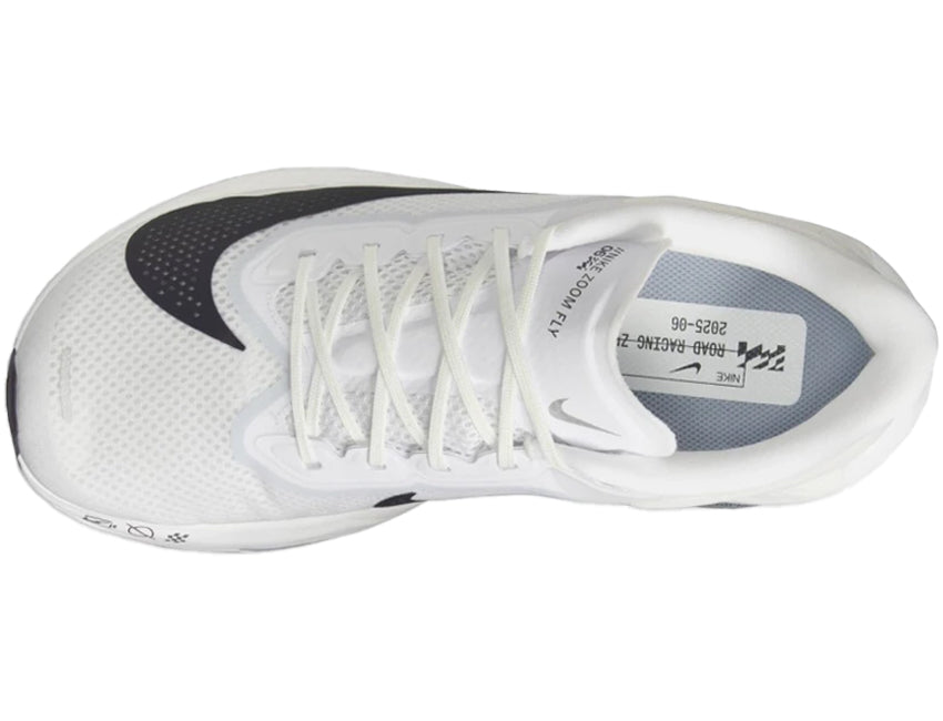 NIKE ナイキ メンズ シューズ ZOOM FLY 6 ズーム フライ 6 FN8454-104
