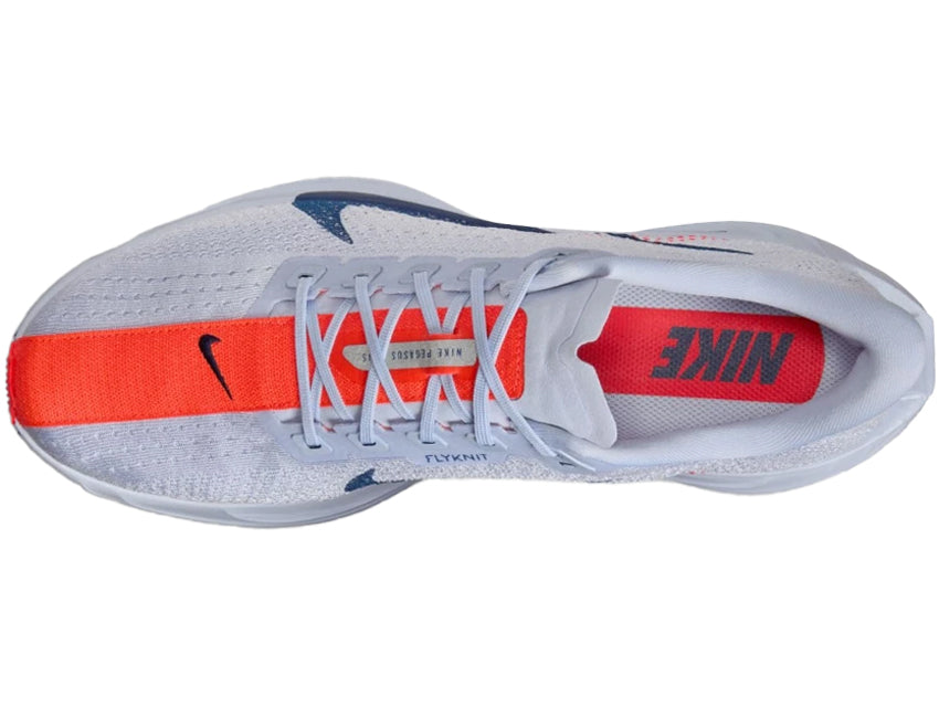 NIKE ナイキ メンズ シューズ PEGASUS PLUS ペガサス プラス FQ7262-006