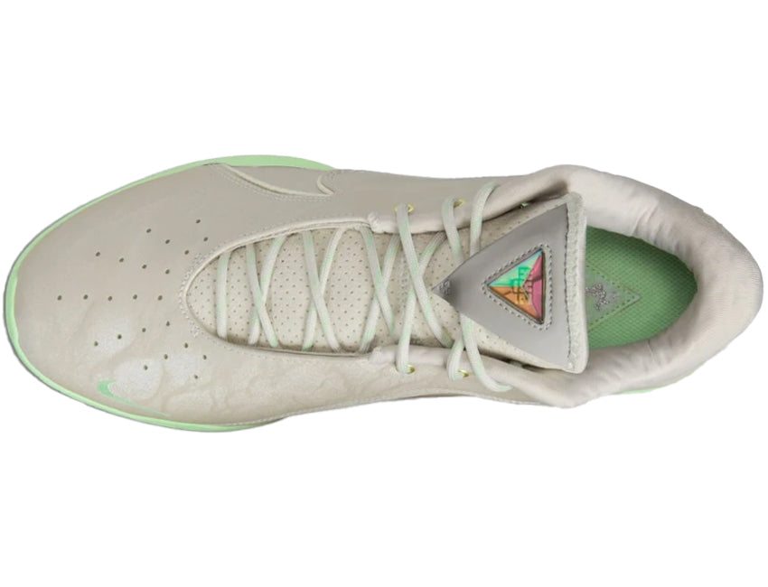 NIKE ナイキ メンズ シューズ LEBRON XXII EP レブロン 22 EP FZ1095-002