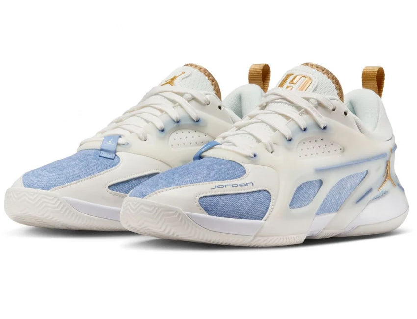NIKE ナイキ レディース シューズ WMNS JORDAN HEIR SERIES PF ウィメンズ ジョーダン エアー シリーズ PF FZ2473-104