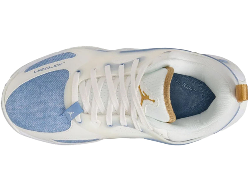 NIKE ナイキ レディース シューズ WMNS JORDAN HEIR SERIES PF ウィメンズ ジョーダン エアー シリーズ PF FZ2473-104