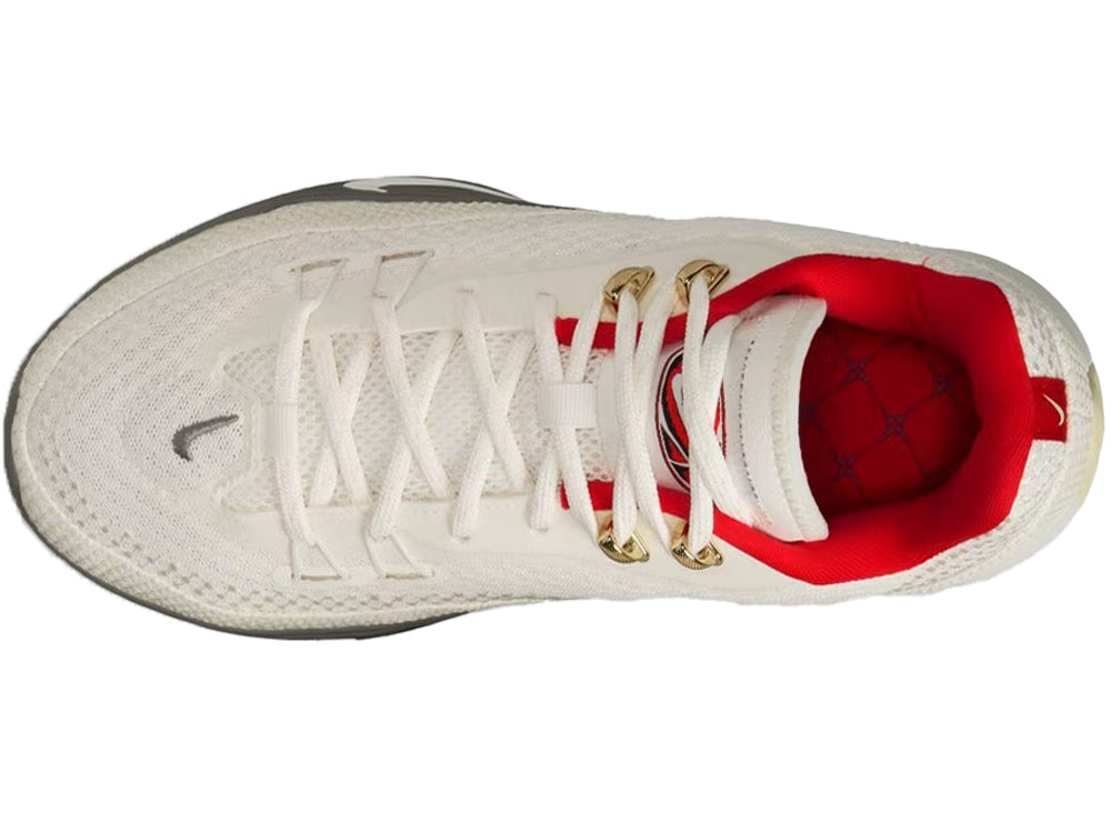 NIKE ナイキ メンズ シューズ S.T. FLARE EP S.T. フレア EP HF0232-002