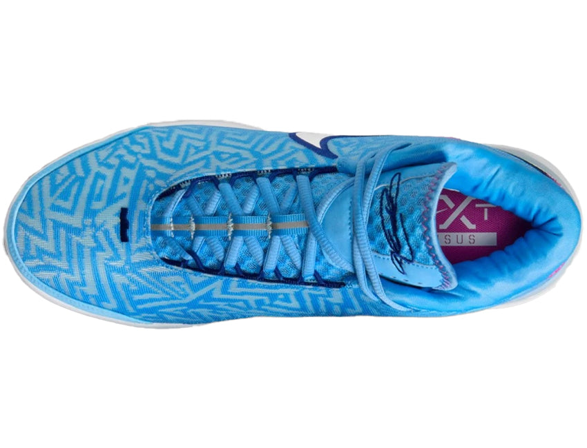NIKE ナイキ メンズ シューズ LEBRON NXXT GENISUS EP レブロン NXXT ジーニサス EP HF0711-402