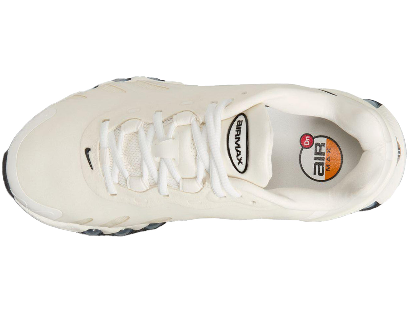 NIKE ナイキ レディース シューズ W AIR MAX DN8 ウィメンズ エア マックス DN8 HF5509-101
