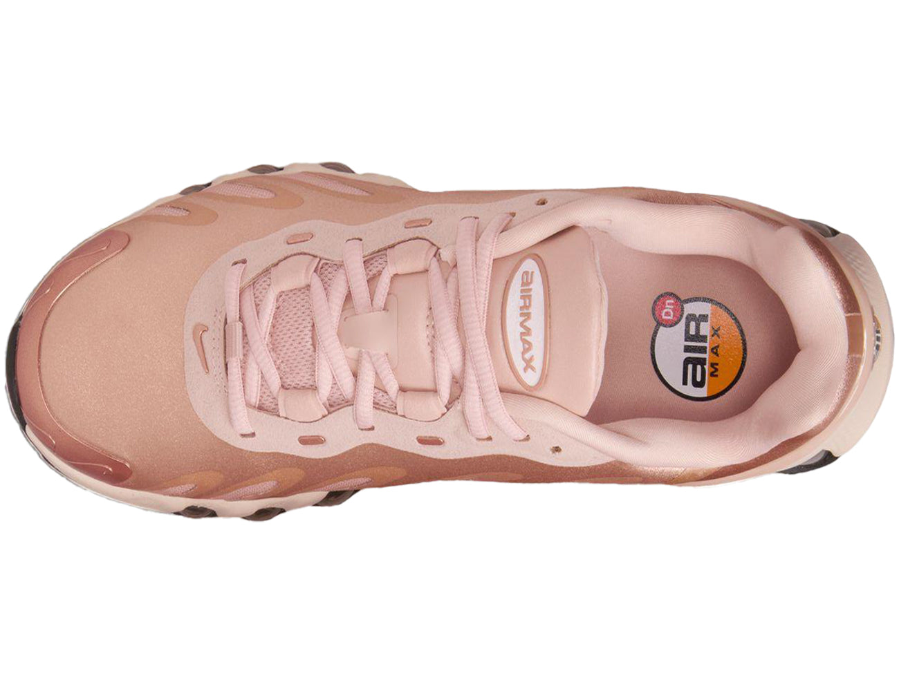 NIKE ナイキ レディース シューズ W AIR MAX DN8 ウィメンズ エア マックス DN8 HF5509-900