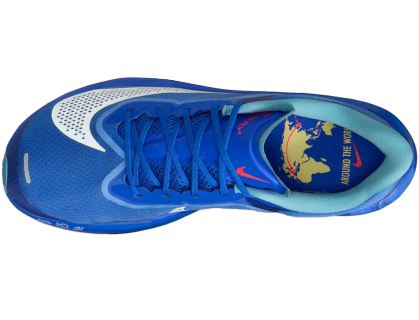 NIKE ナイキ メンズ シューズ ZOOM FLY 6 ズーム フライ 6 HQ1718-400