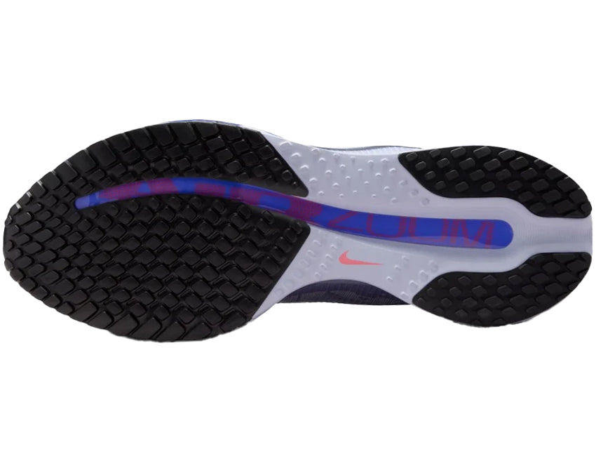 NIKE ナイキ メンズ シューズ PEGASUS PREMIUM ペガサス プレミアム HQ2592-004