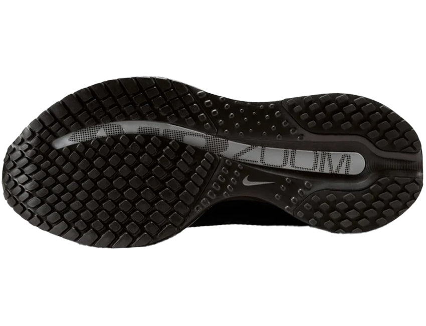 NIKE ナイキ レディース シューズ W PEGASUS PREMIUM ウィメンズ ペガサス プレミアム HQ2593-004