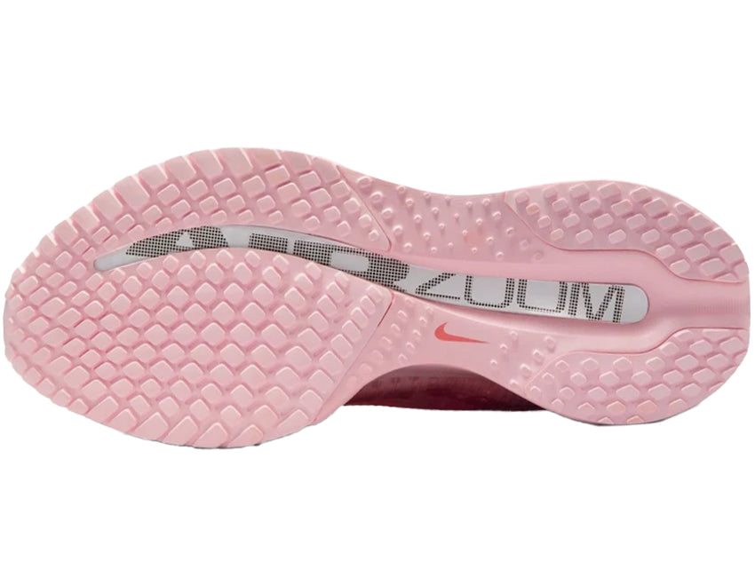 NIKE ナイキ レディース シューズ W PEGASUS PREMIUM ウィメンズ ペガサス プレミアム HQ2593-601