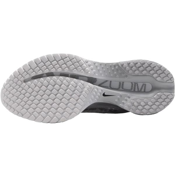 NIKE ナイキ レディース シューズ W PEGASUS PREMIUM ESS ウィメンズ ペガサス プレミアム ESS IR0836-100