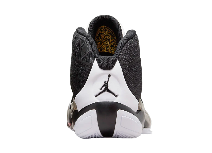 NIKE ナイキ AIR JORDAN XXXVIII (GS) エア ジョーダン 38 (GS) DZ3499-106