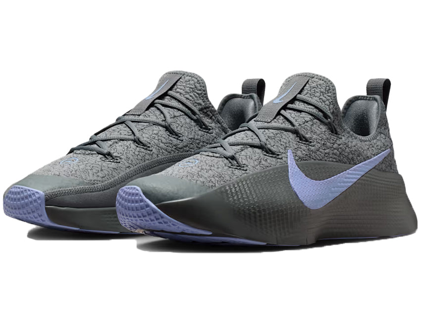 NIKE ナイキ メンズ シューズ LEBRON TR 1 レブロン TR 1 FJ6151-008