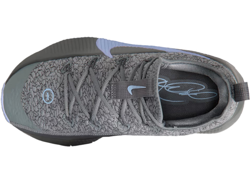 NIKE ナイキ メンズ シューズ LEBRON TR 1 レブロン TR 1 FJ6151-008