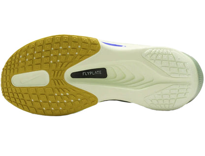 NIKE ナイキ メンズ シューズ ZOOM FLY 6 ズーム フライ 6 FN8454-300
