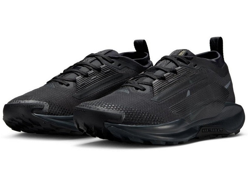 NIKE ナイキ レディース シューズ W PEGASUS TRAIL 5 GORE-TEX ウィメンズ ペガサス トレイル 5 FQ0912-002
