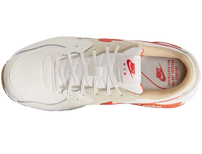 NIKE ナイキ メンズ シューズ AIR MAX EXCEE エア マックス エクシー FZ5486-105