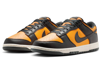 NIKE ナイキ メンズ シューズ DUNK LOW RETRO ダンク ロー レトロ HF5441-700