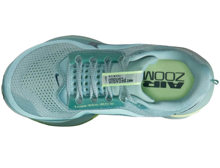 NIKE PEGASUS PREMIUM HQ2592-009
