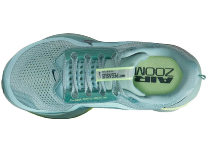 NIKE PEGASUS PREMIUM HQ2592-009