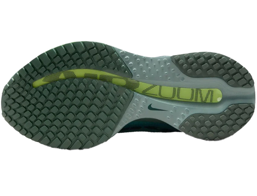NIKE PEGASUS PREMIUM HQ2592-009
