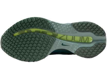 NIKE PEGASUS PREMIUM HQ2592-009