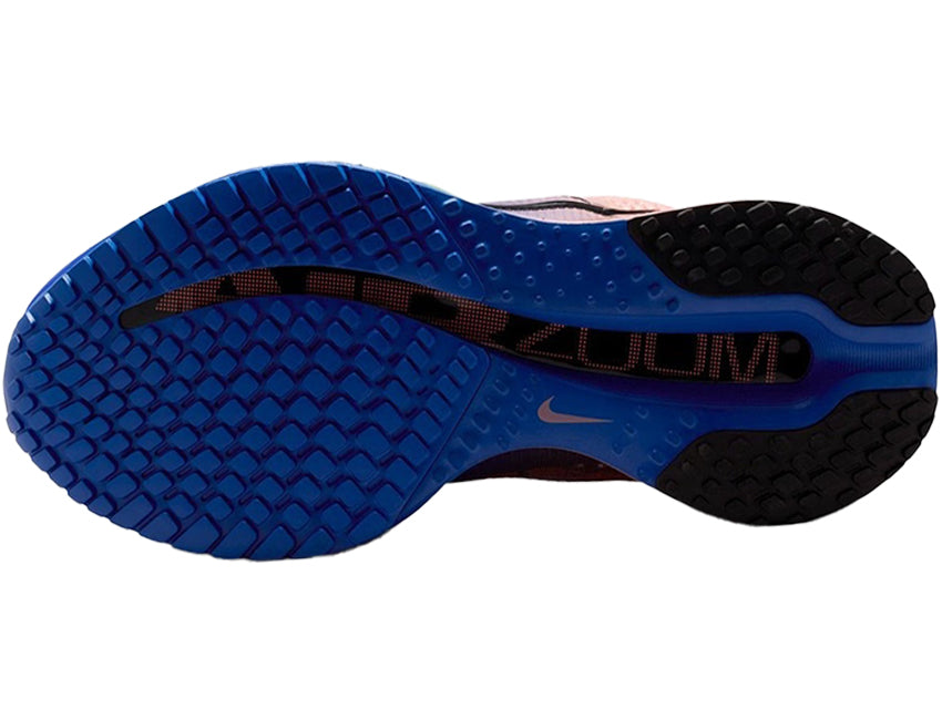 NIKE ナイキ メンズ PEGASUS PREMIUM ペガサス プレミアム HQ2592-401