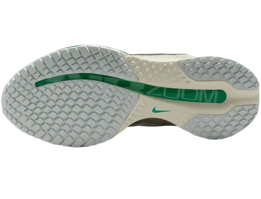 NIKE ナイキ レディース シューズ W PEGASUS PREMIUM ウィメンズ ペガサス プレミアム HQ2593-008