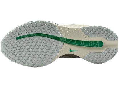 NIKE ナイキ レディース シューズ W PEGASUS PREMIUM ウィメンズ ペガサス プレミアム HQ2593-008