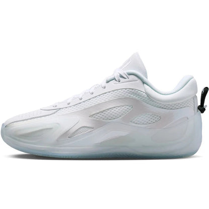 NIKE ナイキ レディース シューズ WMNS JORDAN HEIR SERIES 2 PF ウィメンズ ジョーダン エアー シリーズ 2 PF HV4419-102