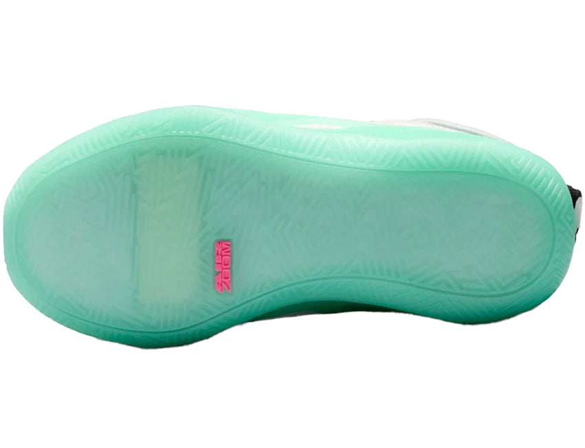 NIKE ナイキ レディース WMNS JORDAN HEIR SERIES 2 PF ジョーダン エアー シリーズ 2 PF HV4419-103