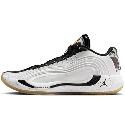 NIKE ナイキ メンズ シューズ JORDAN LUKA 4 PF ジョーダン ルカ 4 PF IB7904-100