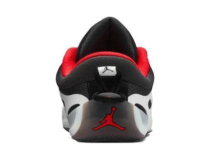 NIKE ナイキ レディース シューズ WMNS JORDAN HEIR SERIES 2 PF ウィメンズ ジョーダン エアー シリーズ 2 PF IM4645-001
