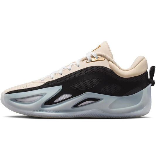 NIKE ナイキ レディース シューズ WMNS JORDAN HEIR SERIES 2 PF ウィメンズ ジョーダン エアー シリーズ 2 PF IR3491-200
