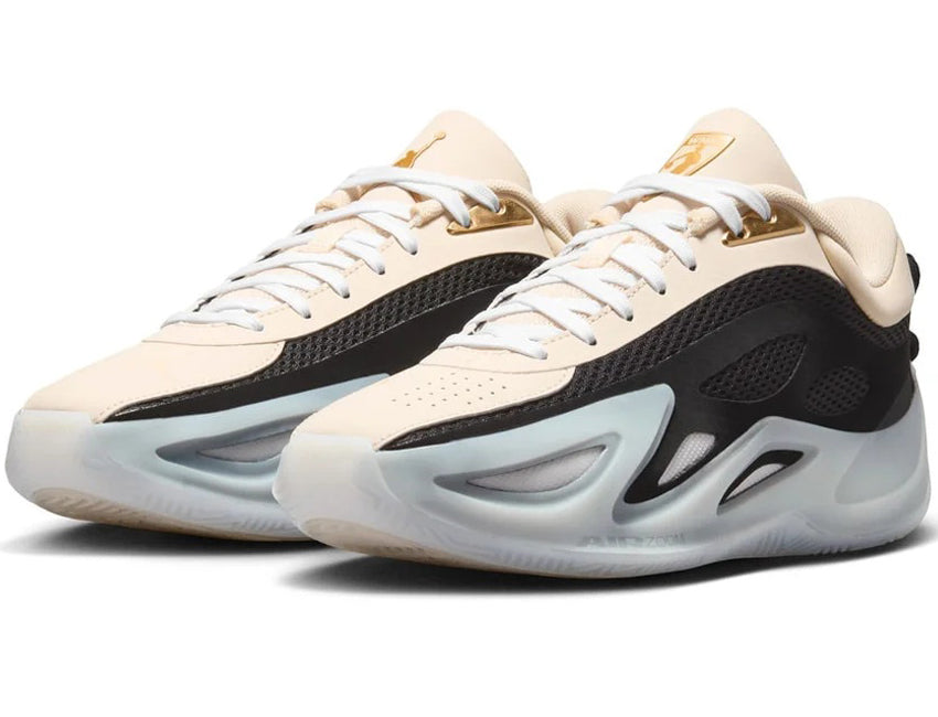 NIKE ナイキ レディース シューズ WMNS JORDAN HEIR SERIES 2 PF ウィメンズ ジョーダン エアー シリーズ 2 PF IR3491-200